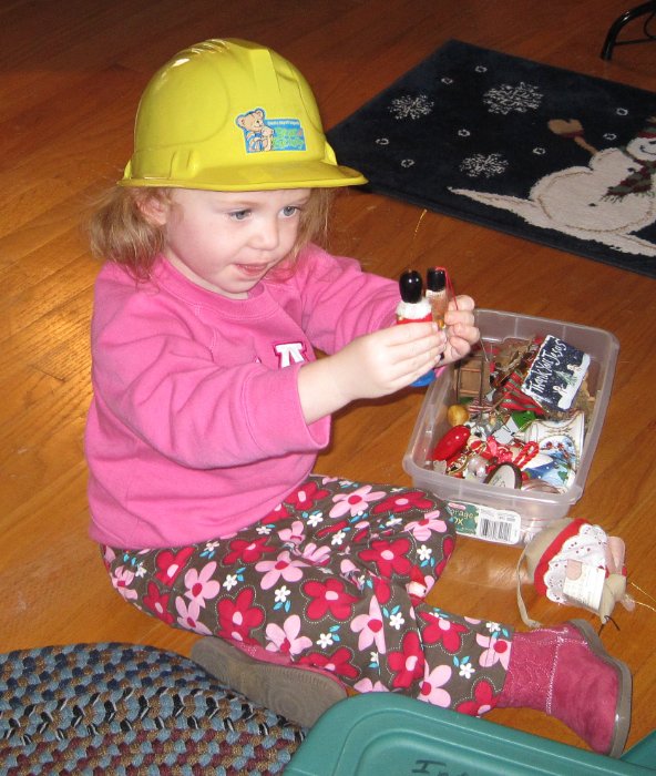 Decorating the Christmas Tree